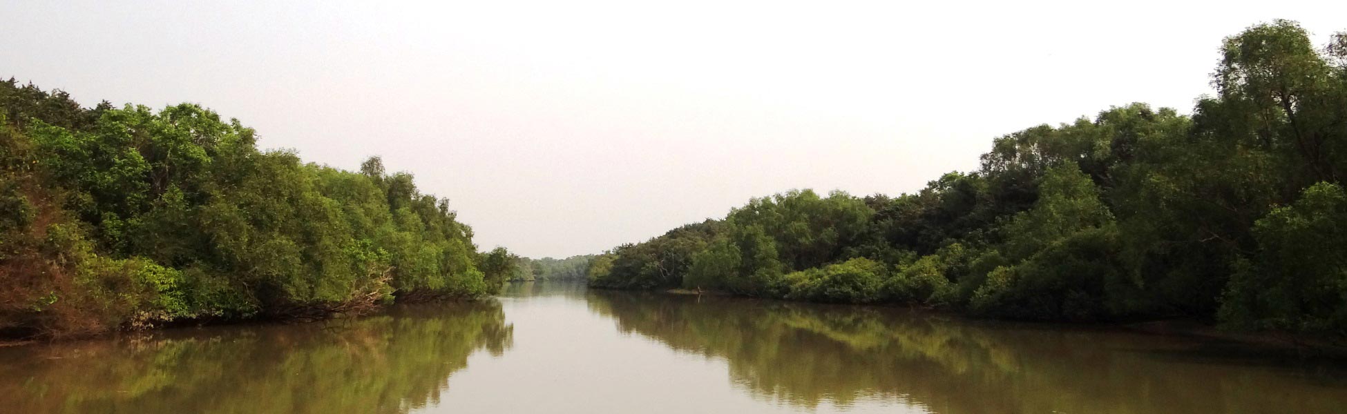 Panoramic view of a wide, calm river flanked by dense, lush green mangrove forests under a clear sky in Bhitarkanika National Park, Odisha, India; showcasing an exotic jungle backdrop ideal for film production. fixer in Baghpat, film fixer in Baghpat, media fixer in Baghpat, movie fixer in Baghpat, production fixer in Baghpat, line producer in Baghpat